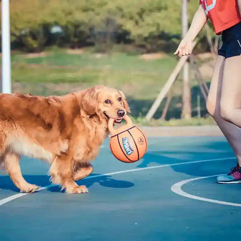 Gioco per cani pallone basket con maniglione "Jumball" by Dog Moda
