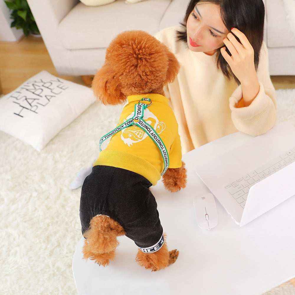 Small brown poodle wearing yellow sweater and black pants standing on white table near woman with laptop