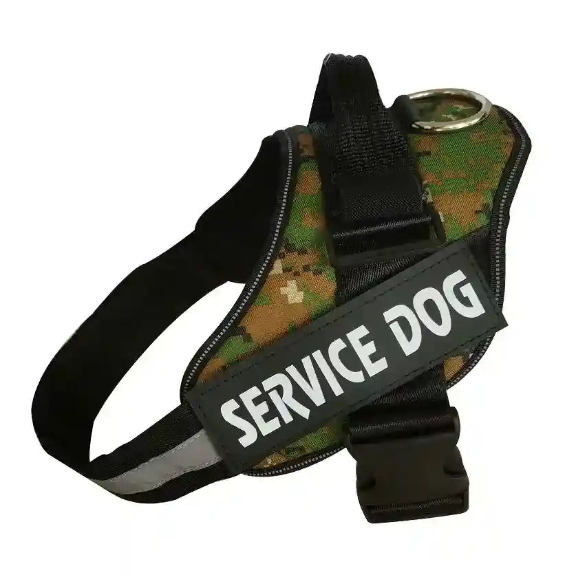 Pettorina per Cani Personalizzabile - Dog Moda