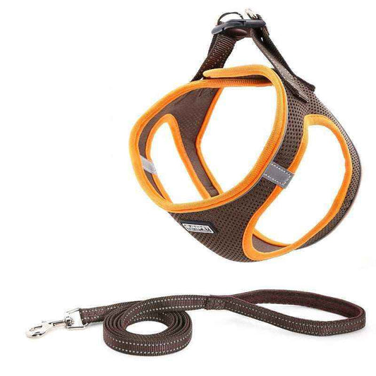 Pettorina per Cani Traspirante "Aria" by Dog Moda