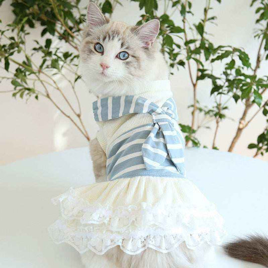 Vestito per Gatti "Caramella" – Maglia o Vestito con Gonna e Foulard by Dog Moda