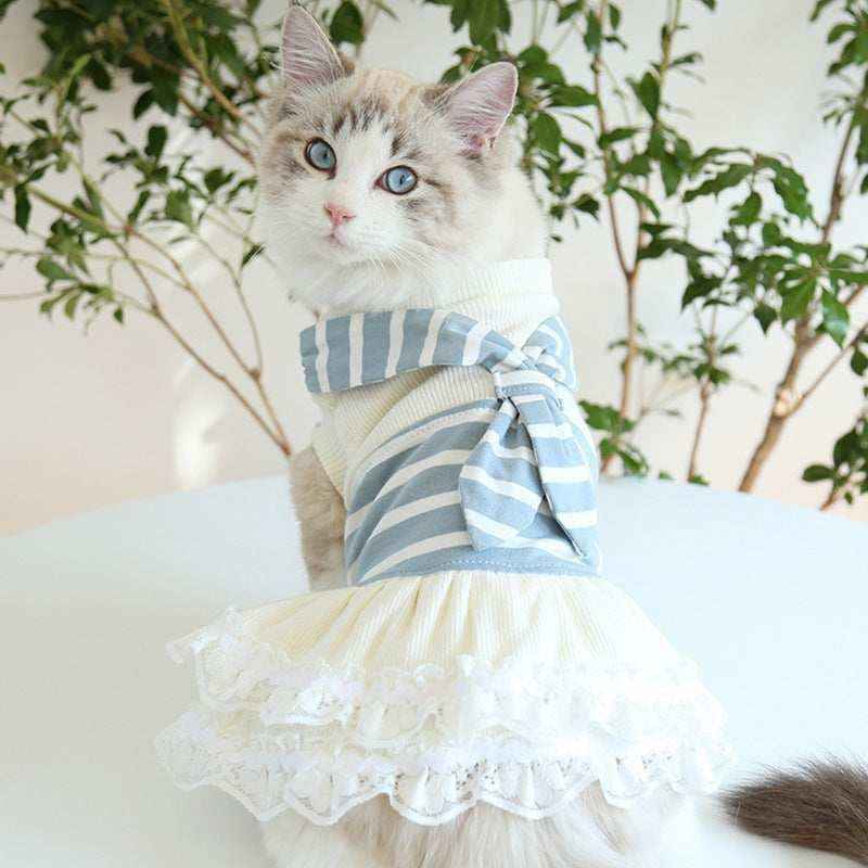 Vestito per Gatti "Caramella" – Maglia o Vestito con Gonna e Foulard by Dog Moda