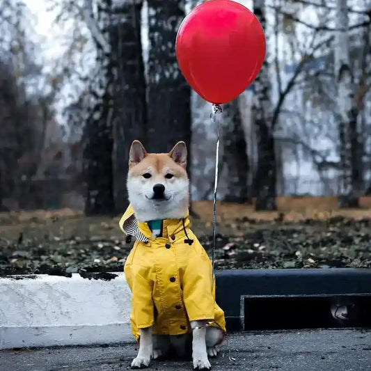 Impermeabile per cani e Bassotto "Hilo" by Dog Moda