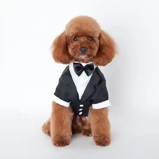 Smoking vestito cerimonia per cani "Filippo" by Dog Moda