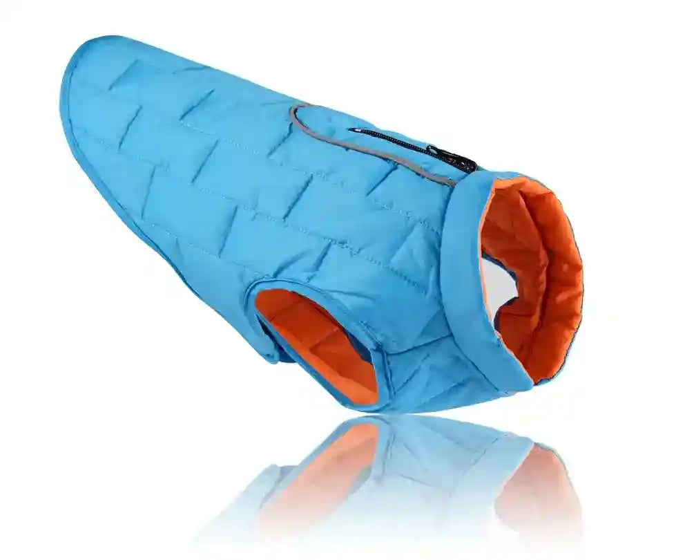 Blue quilted dog jacket with orange lining, zipper on back, and armholes on white background