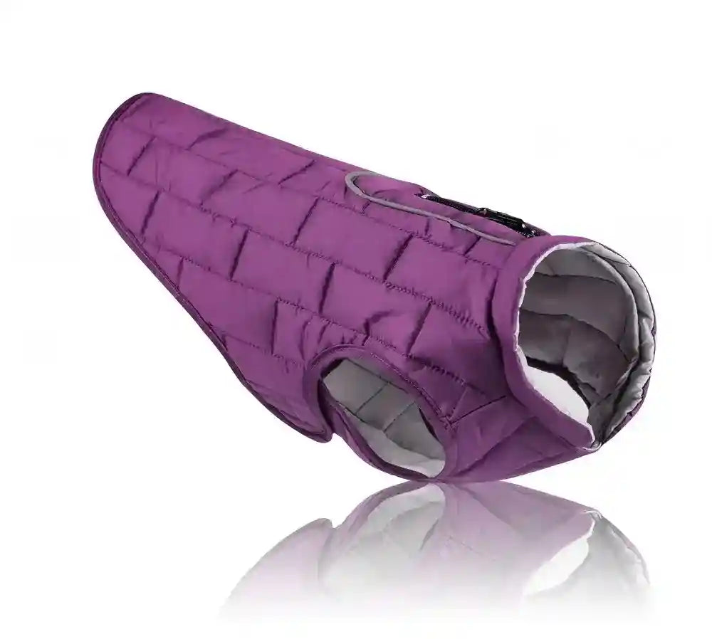 Purple quilted dog jacket with reflective trim and secure buckle, insulated for warmth