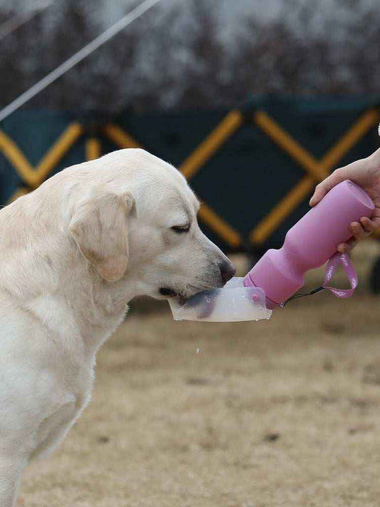 Borraccia Canina con Serbatoio Richiudibile - Idratazione Perfetta per il Tuo Cane Ovunque by Dog Moda