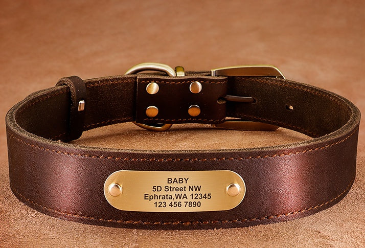 Personalized Leather Collar with Tag for Medium and Large Dogs
