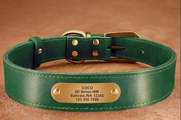 Personalized Leather Collar with Tag for Medium and Large Dogs