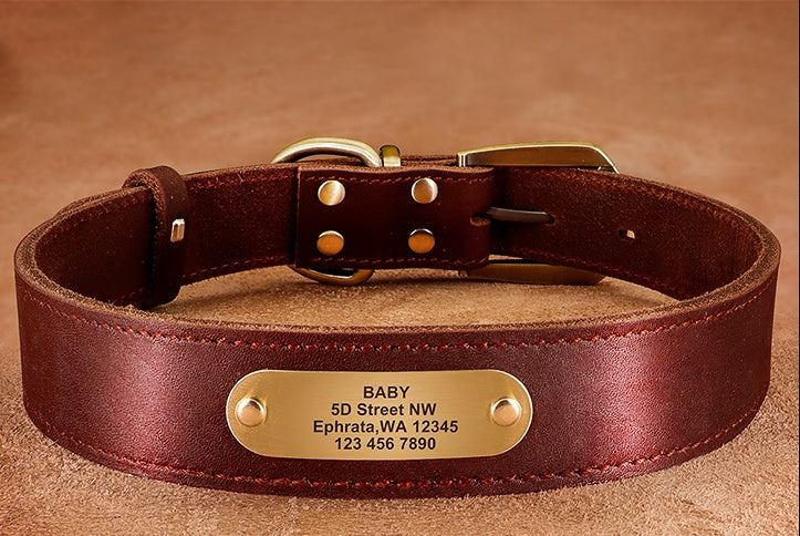 Personalized Leather Collar with Tag for Medium and Large Dogs