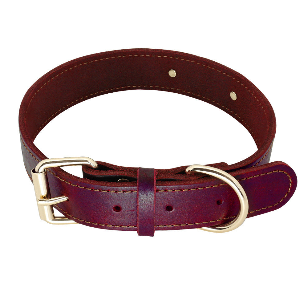 Personalized Leather Collar with Tag for Medium and Large Dogs
