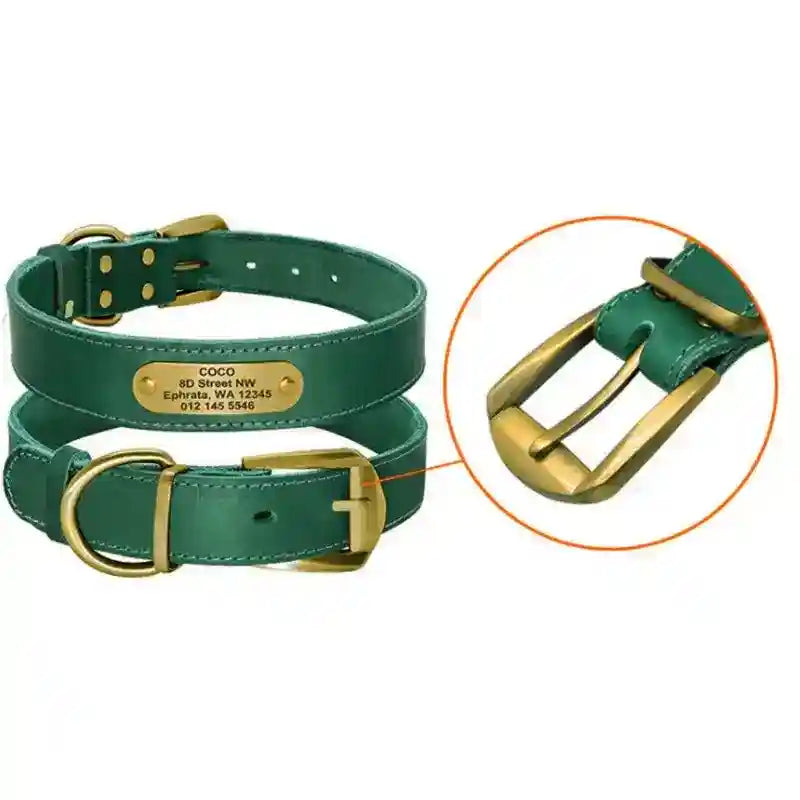 Collare in Cuoio Personalizzato con Targhetta per Cani Medi e Grandi by Dog Moda