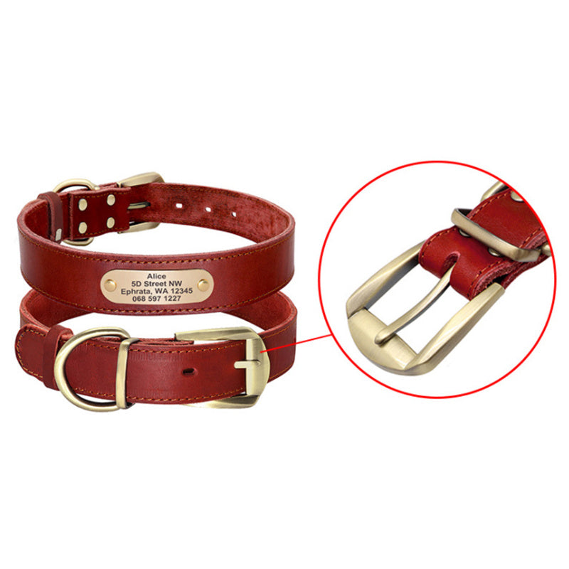 Personalized Leather Collar with Tag for Medium and Large Dogs