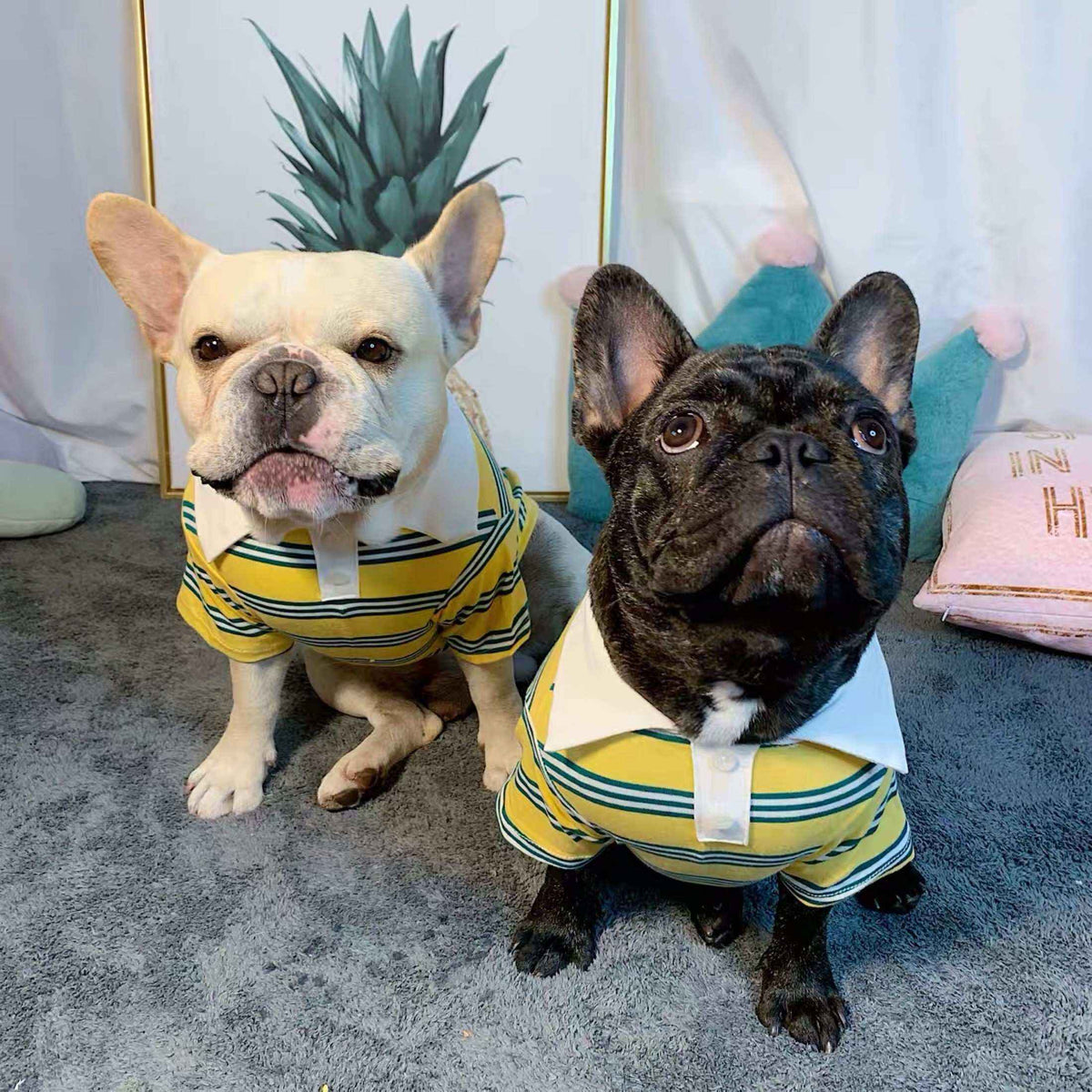 Polo in Cotone per Bulldog e Welsh Corgi "Caddy" – Stile e Comfort per Cani di Taglia Grande by Innopet