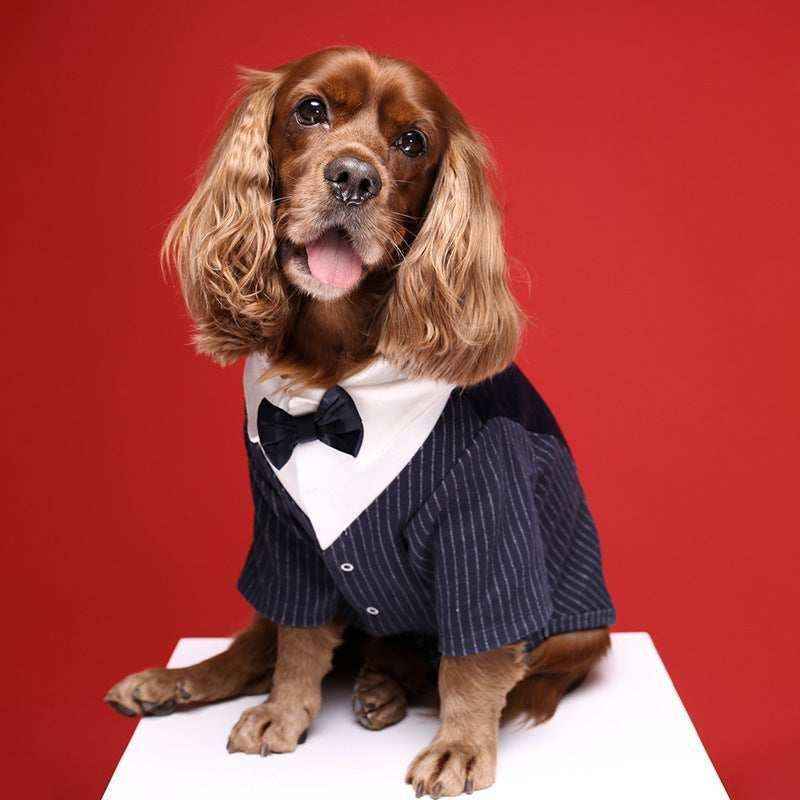 Vestito da cerimonia per cani Milano by Dog Moda