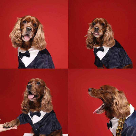Vestito da cerimonia per cani Milano by Dog Moda