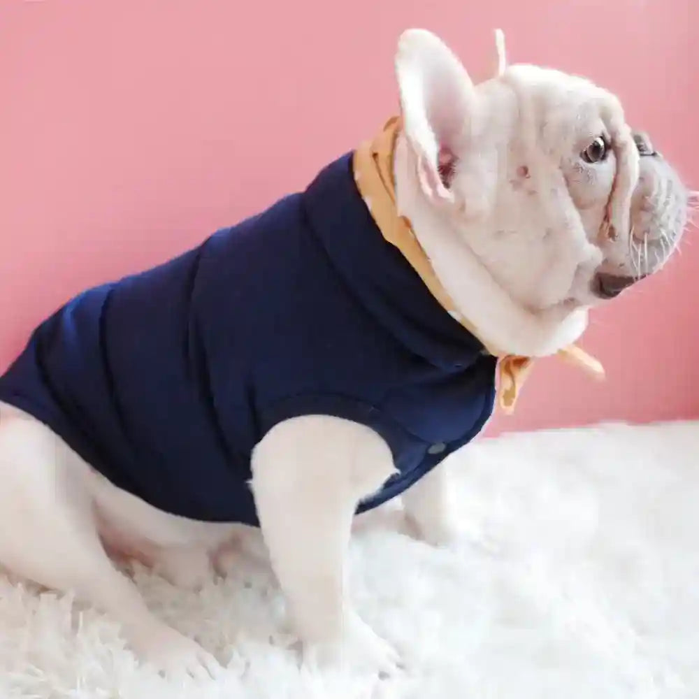 Cappotto Huddle Smanicato per Cani - Bottoni Pettorina by Dog Moda
