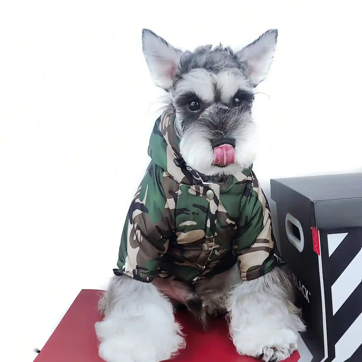 Impermeabile per Cani Schnauzer Camouflage "Adventure" - Protezione e Stile per Ogni Passeggiata by Dog Moda