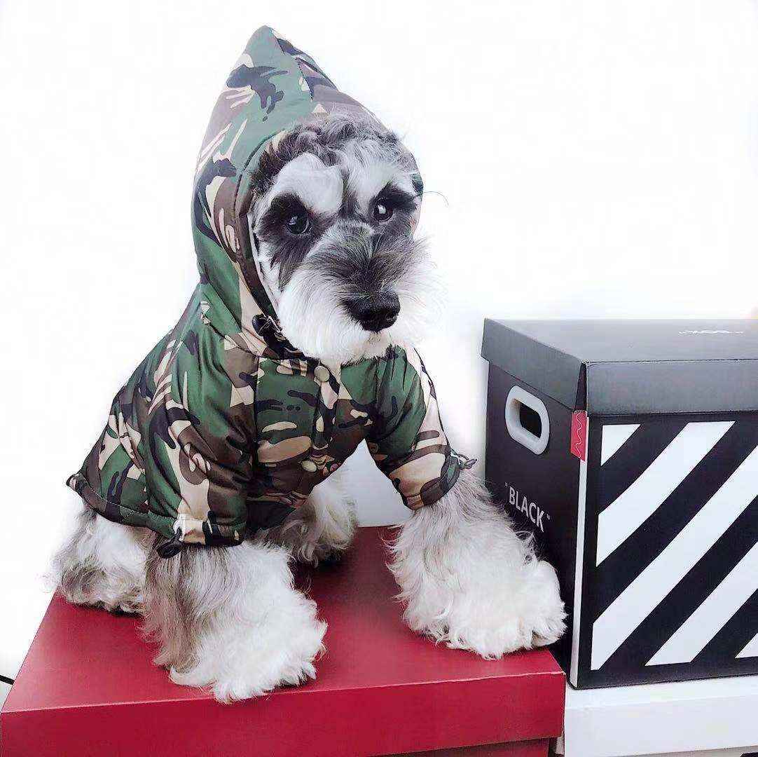 Impermeabile per Cani Schnauzer Camouflage "Adventure" - Protezione e Stile per Ogni Passeggiata by Dog Moda