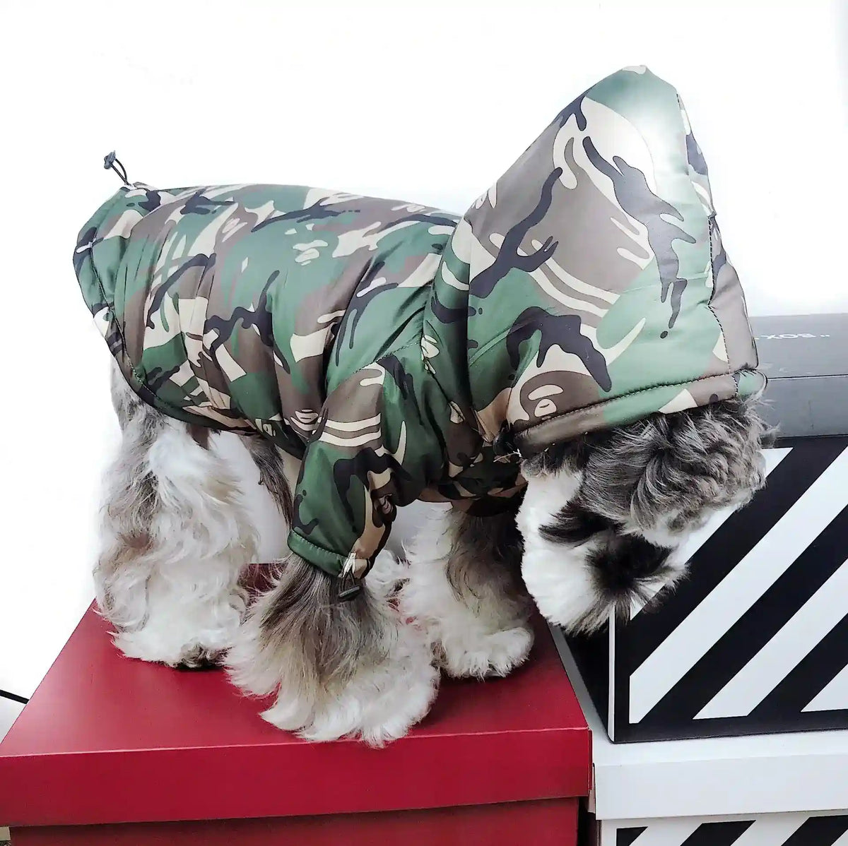 Impermeabile per Cani Schnauzer Camouflage "Adventure" - Protezione e Stile per Ogni Passeggiata by Dog Moda
