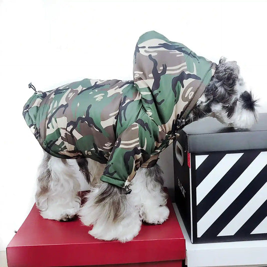 Schnauzer Dog Raincoat Camouflage "Adventure" - Protection and Style for Every Walk