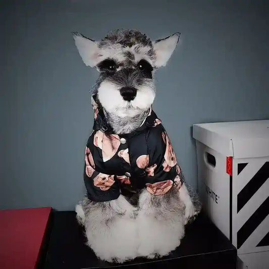 Raincoat for medium and large sized dogs "Teddy Bear"