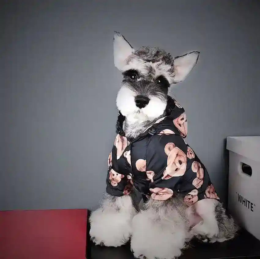 Impermeabile per canidi taglia media e grande "Teddy Bear" by Dog Moda