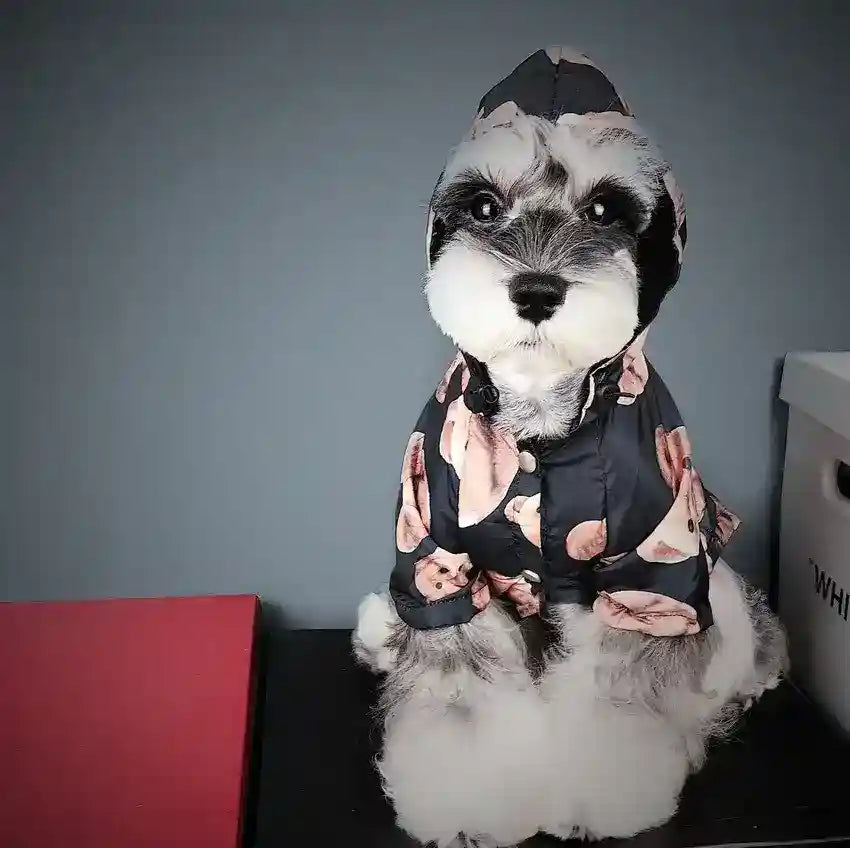 Impermeabile per canidi taglia media e grande "Teddy Bear" by Dog Moda