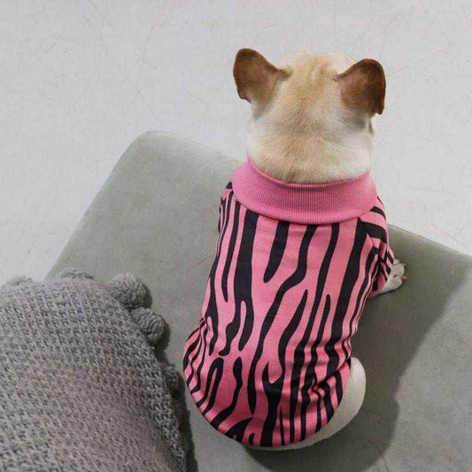 Maglia per Cani in Pile "Tomè" - Comfort e Stile per le Giornate Fredde by Dog Moda