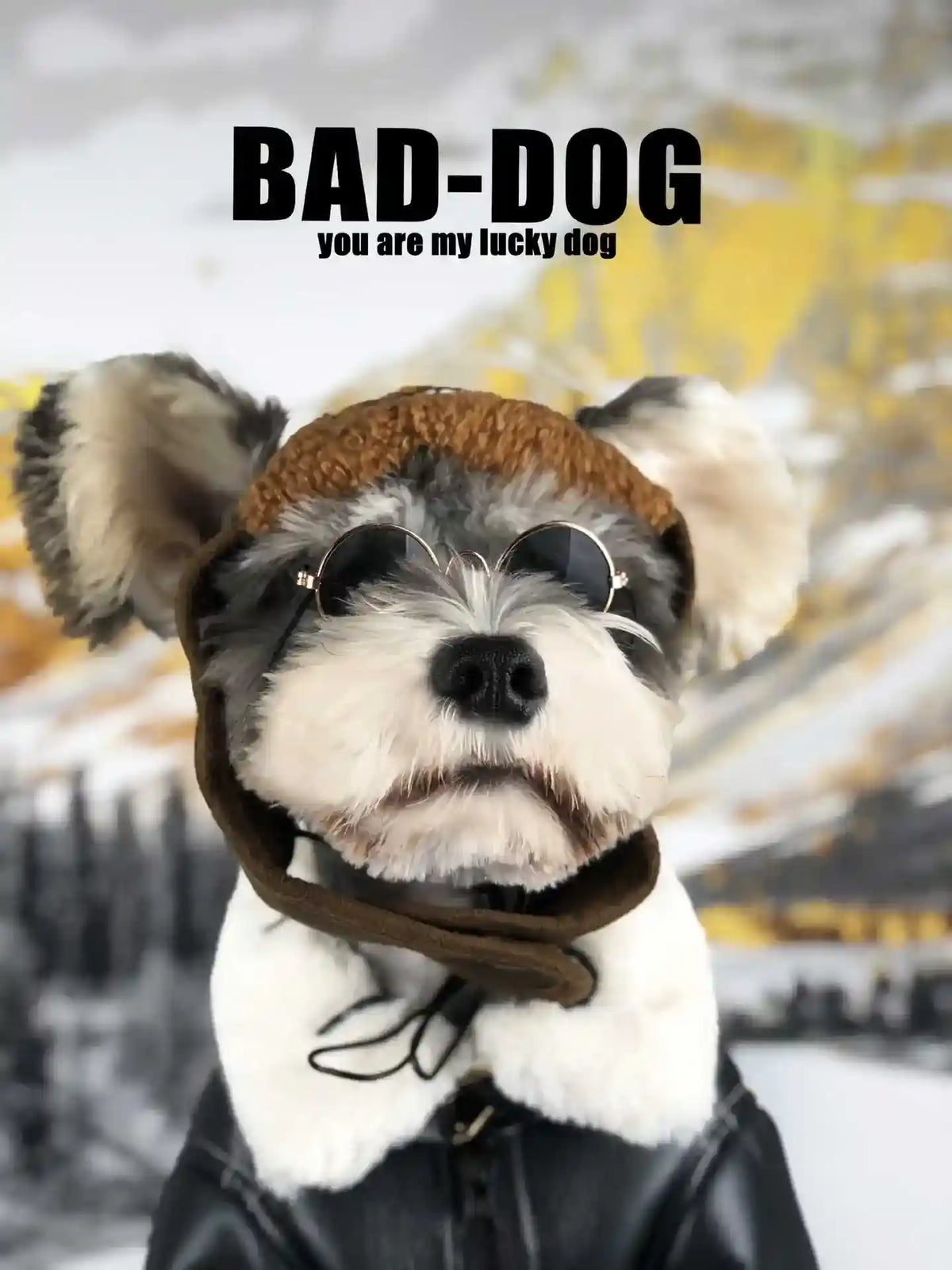 Cappotto Cani Ecopelle BAD DOG Colletto Pelliccia Zip by Dog Moda
