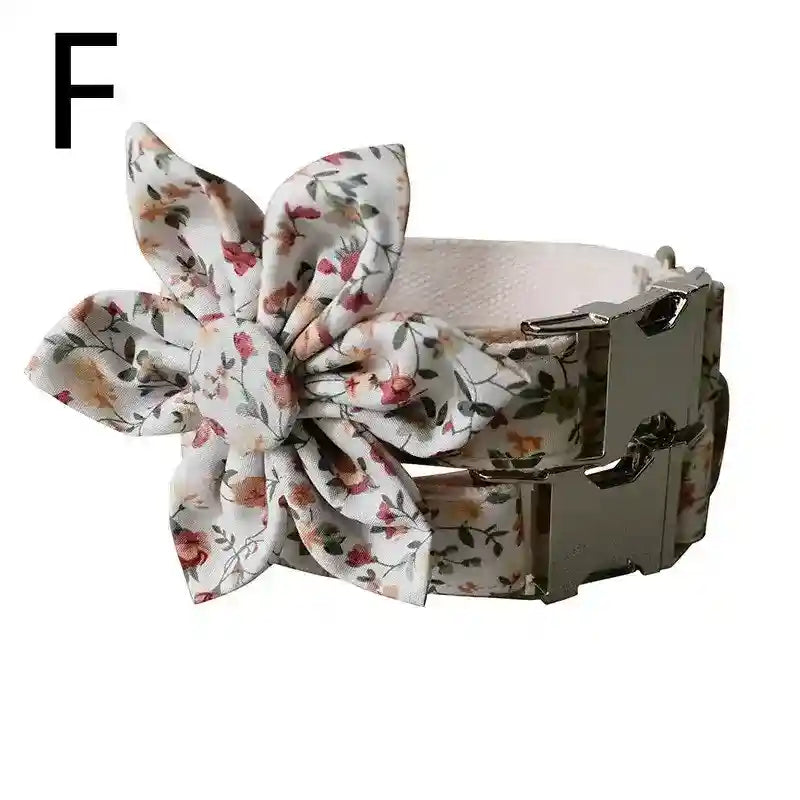 Set guinzaglio e collare per cani "Springfield" by Dog Moda