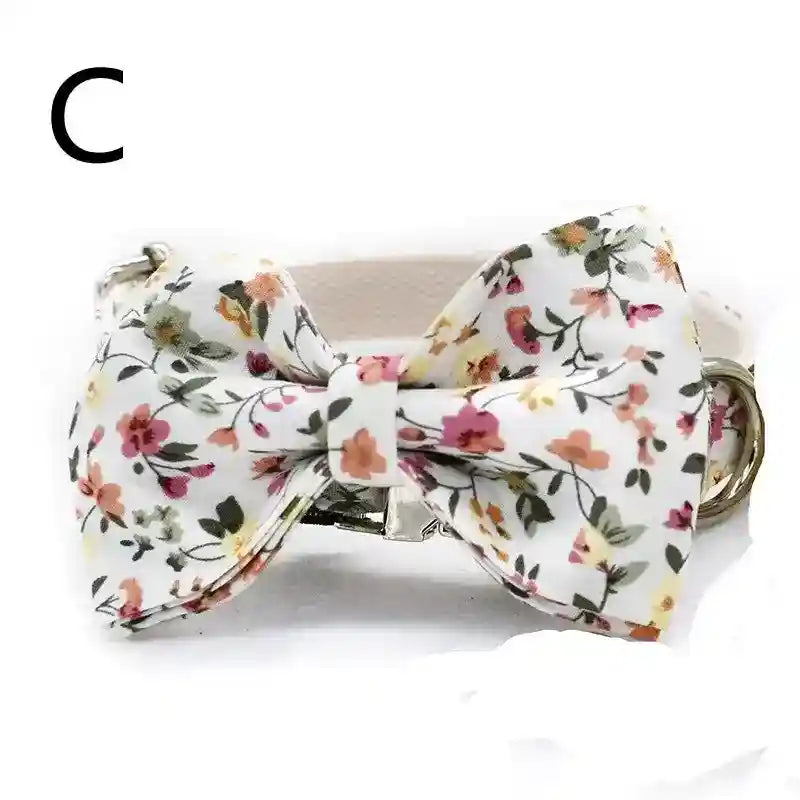 Set guinzaglio e collare per cani "Springfield" by Dog Moda