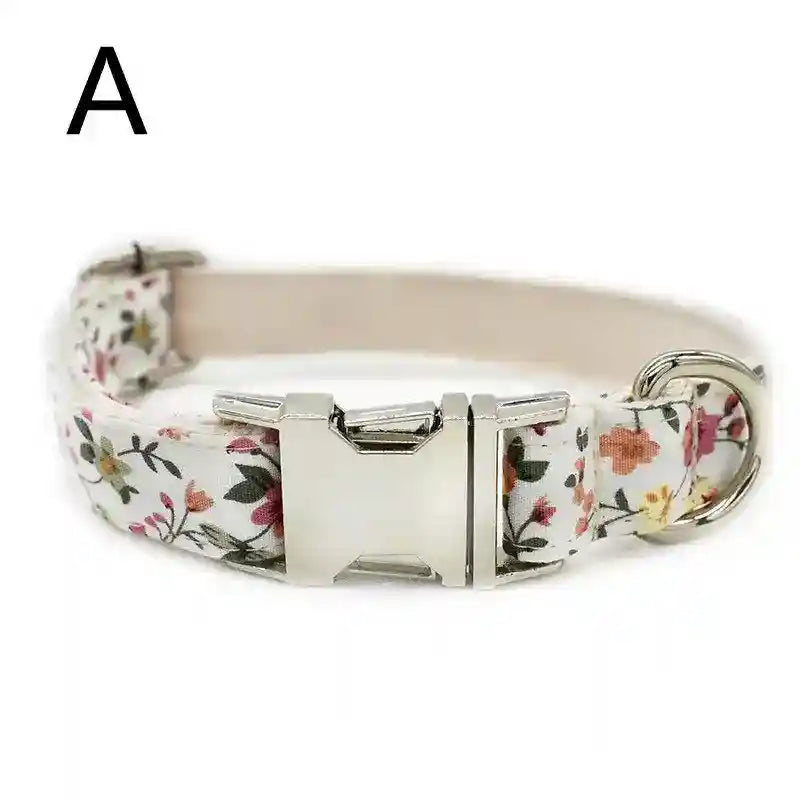 Set guinzaglio e collare per cani "Springfield" by Dog Moda