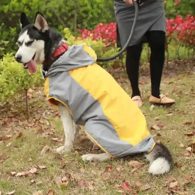 Impermeabile per Cani di Taglia Grande con Chiusura sull'Addome – Massima Protezione e Praticità - Dog Moda