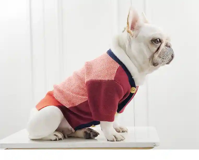 Maglione Bulldog Bottoni - Rabbit Fleece Caldo by Dog Moda