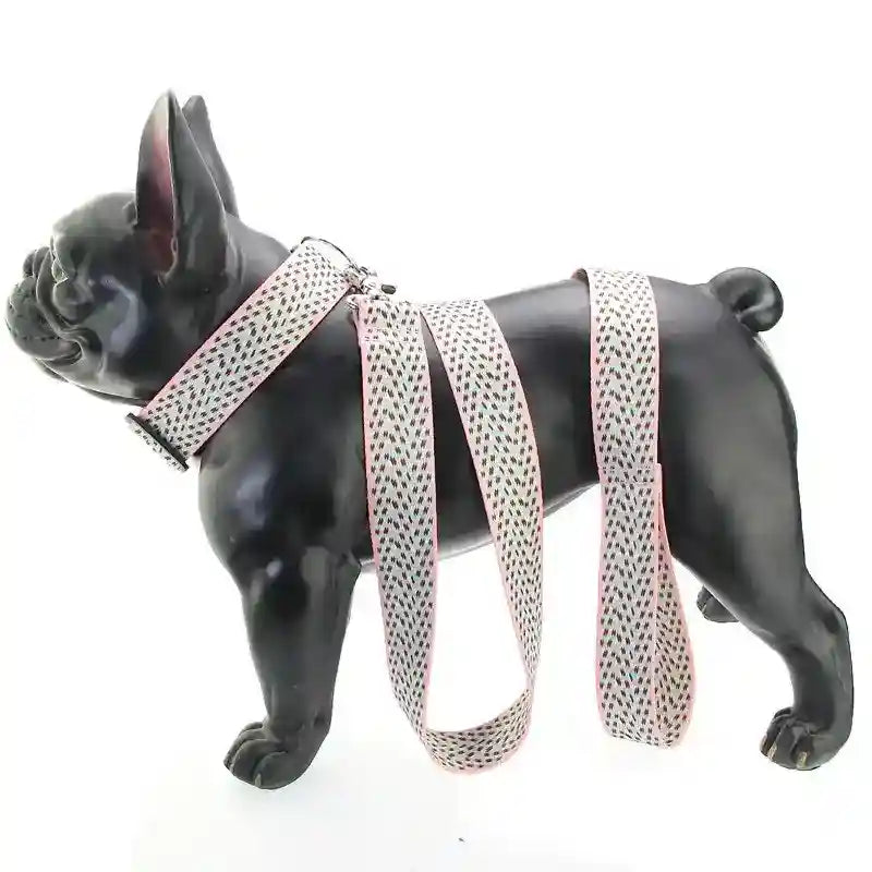 Set Pettorina, Collare e Guinzaglio "Arien" – Massima Sicurezza e Stile by Dog Moda