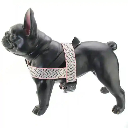 Set Pettorina, Collare e Guinzaglio "Arien" – Massima Sicurezza e Stile by Dog Moda