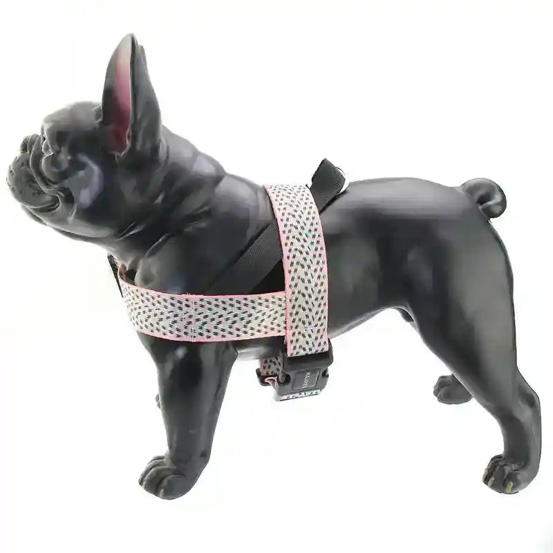 Set Pettorina, Collare e Guinzaglio "Arien" – Massima Sicurezza e Stile by Dog Moda
