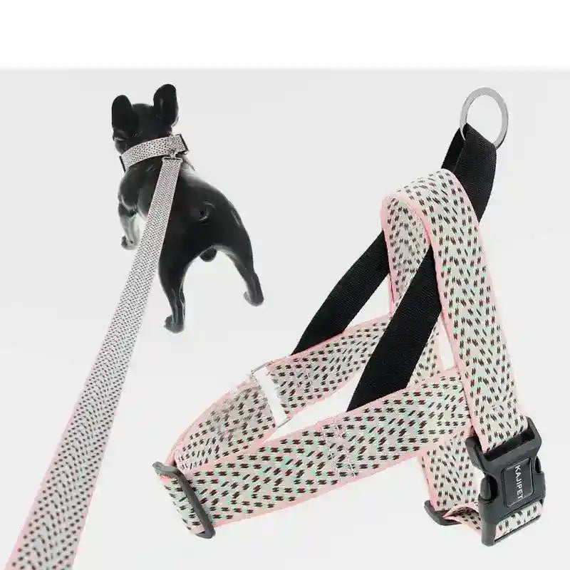 Set Pettorina, Collare e Guinzaglio "Arien" – Massima Sicurezza e Stile by Dog Moda