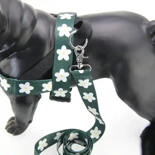 Set Pettorina e Guinzaglio Daisy – Comfort e Stile per il Tuo Cane by Dog Moda