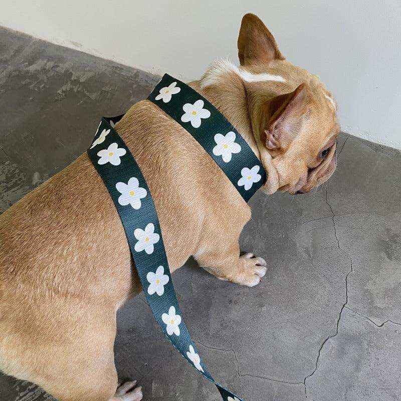 Set Pettorina e Guinzaglio Daisy – Comfort e Stile per il Tuo Cane by Dog Moda