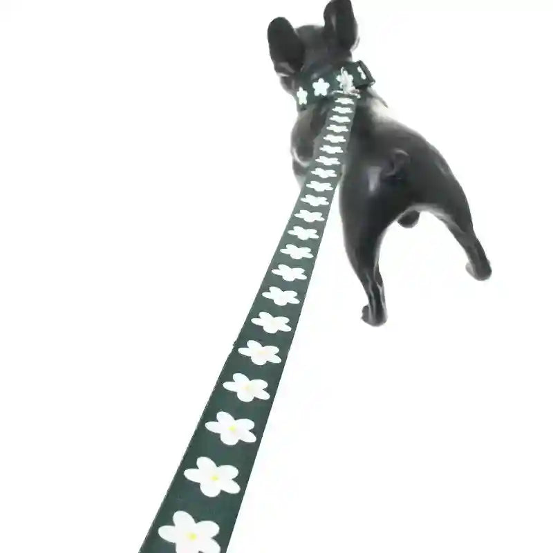 Set Pettorina e Guinzaglio Daisy – Comfort e Stile per il Tuo Cane by Dog Moda