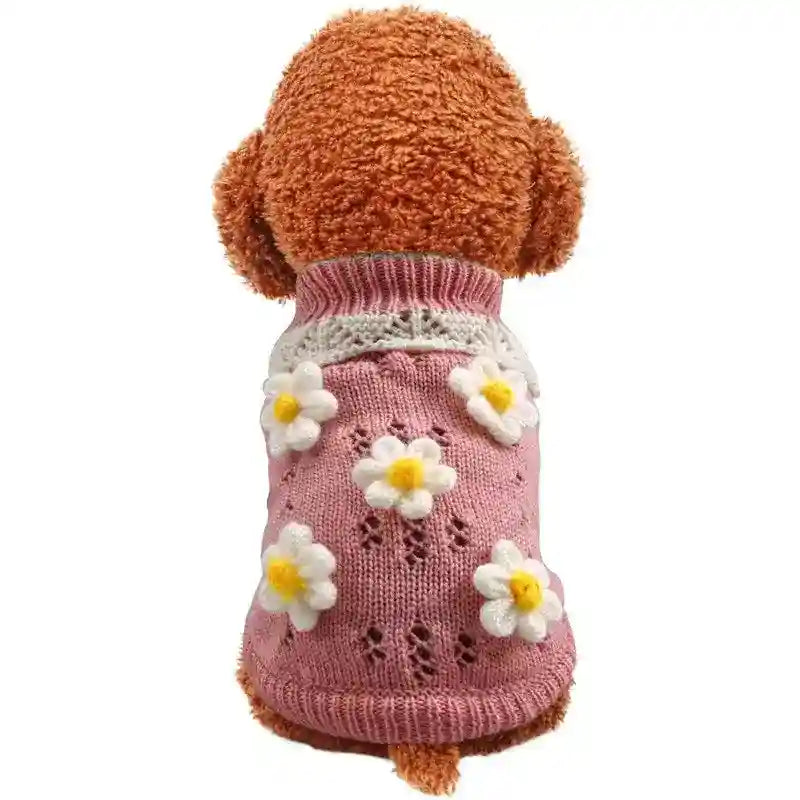 Small brown dog wearing a pink knitted sweater with white and yellow flower decorations