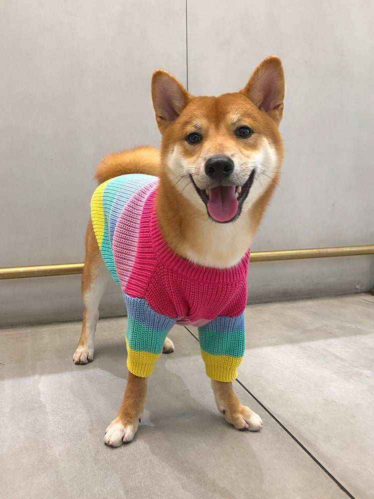 Maglia per cani "Rainbow" - Cheepet by Dog Moda