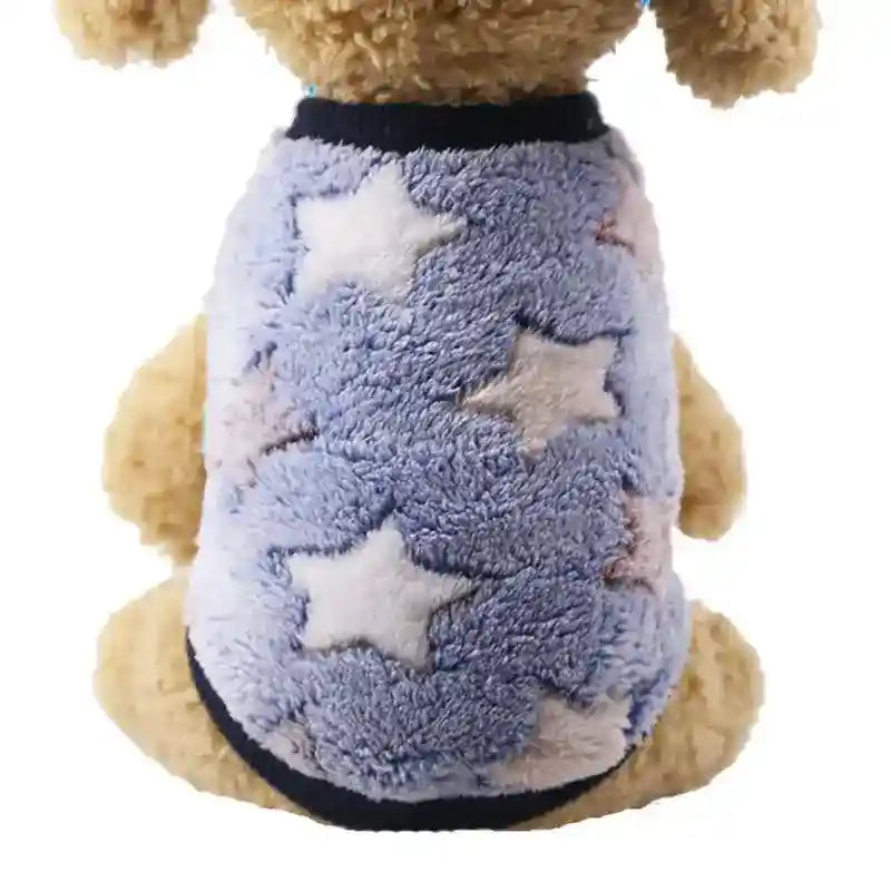 Fluffy dog wearing blue star-patterned fleece sweater with black trim