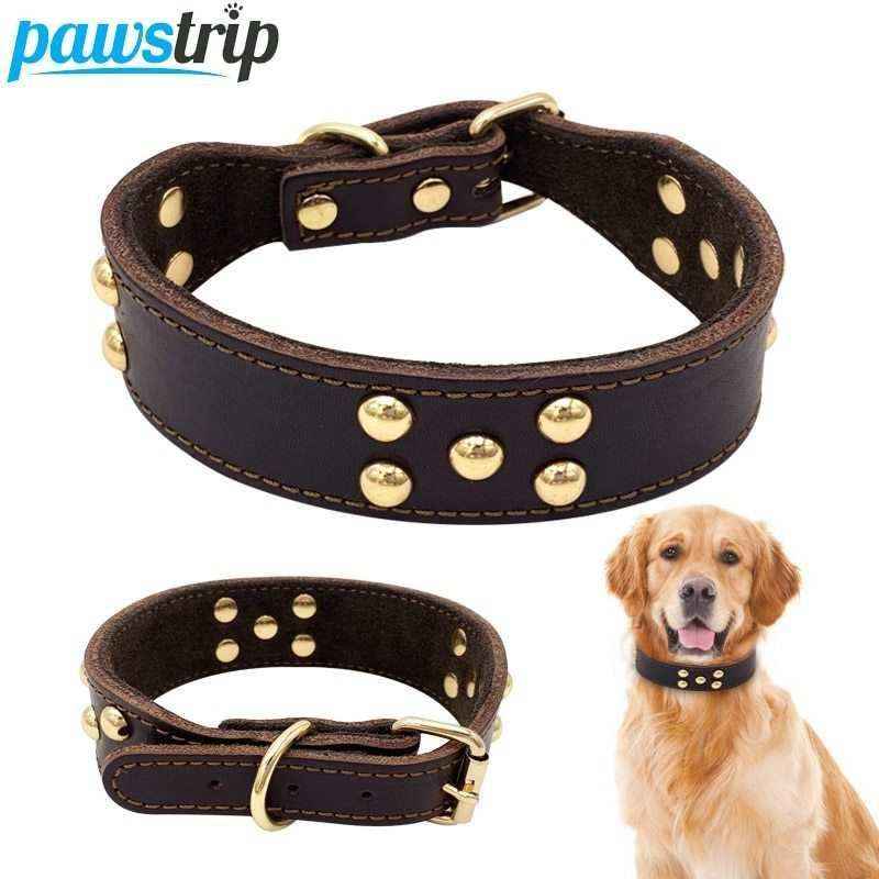 Collare in Cuoio per Cani "Pawstrip" con Borchie - Elegante e Resistente by Dog Moda