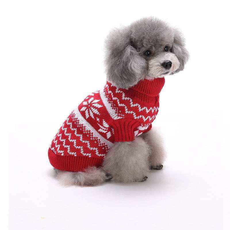 Gray poodle dog wearing red and white knit Christmas sweater with snowflake pattern