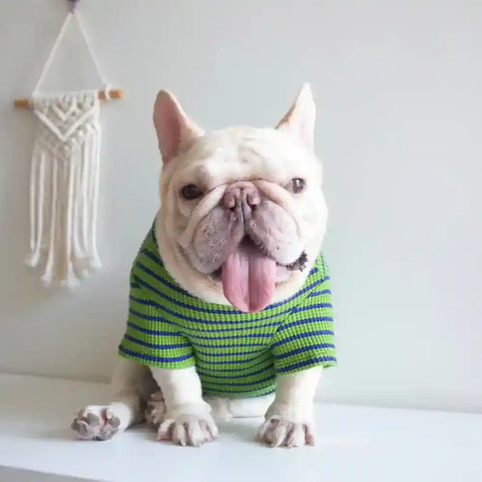 Maglietta a righe verde e blu in cotone per cani "New Fashion" by Dog Moda