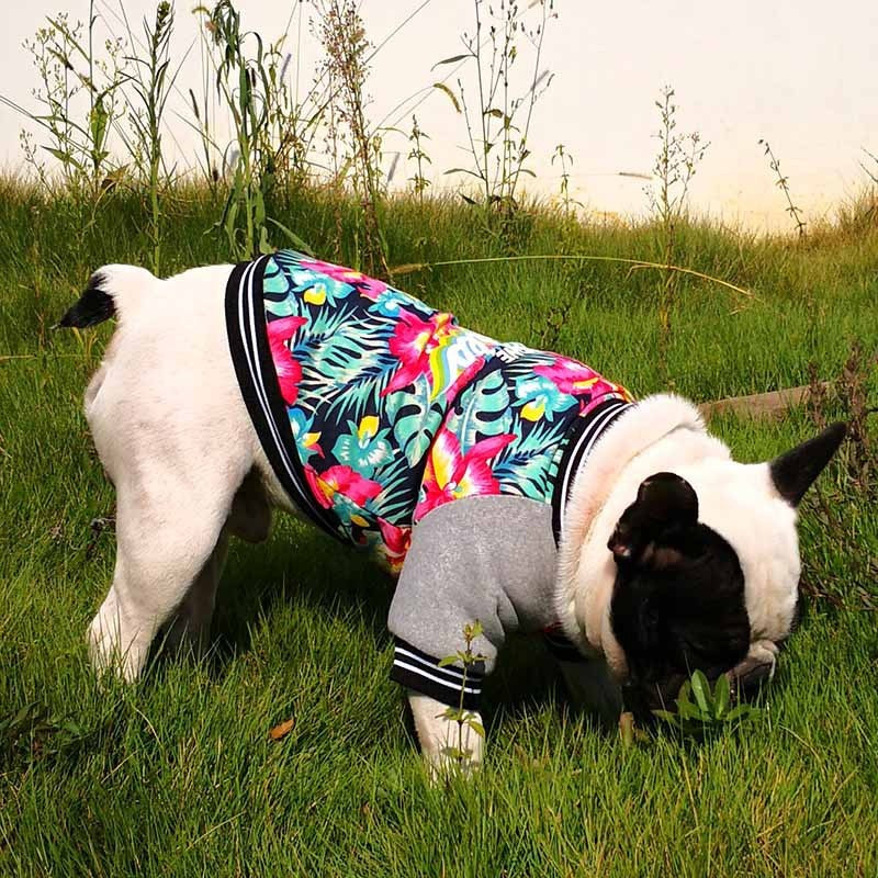 Dog Sweatshirt with Floral Print and "No One Cares" Writing