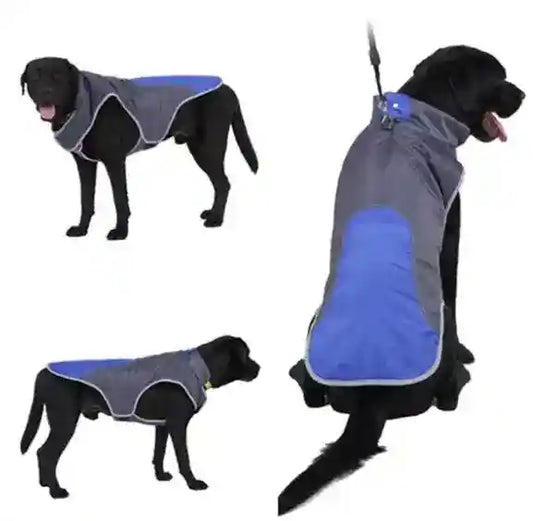 Giacca Impermeabile per Cani con Inserti Riflettenti – Perfetta per Labrador e Taglie Grandi by Dog Moda